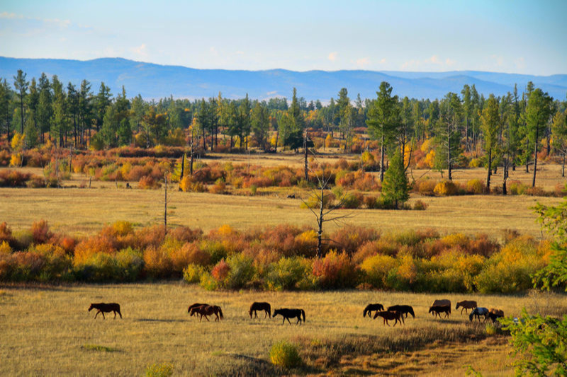 Өнгөрөгч есдүгээр сар 10 дахь дулаан сар болж өнгөрлөө
